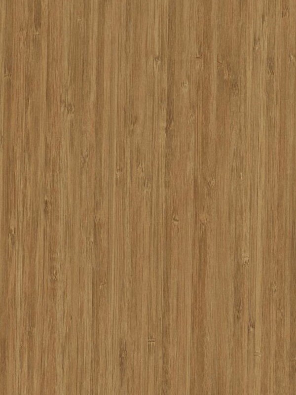 Bambu